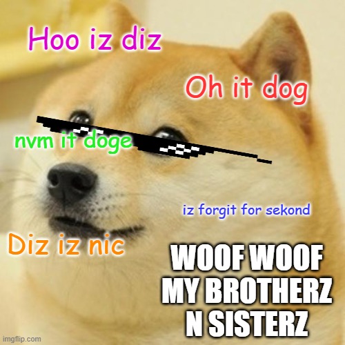 Doge Meme | Hoo iz diz; Oh it dog; nvm it doge; iz forgit for sekond; Diz iz nic; WOOF WOOF MY BROTHERZ N SISTERZ | image tagged in memes,doge | made w/ Imgflip meme maker