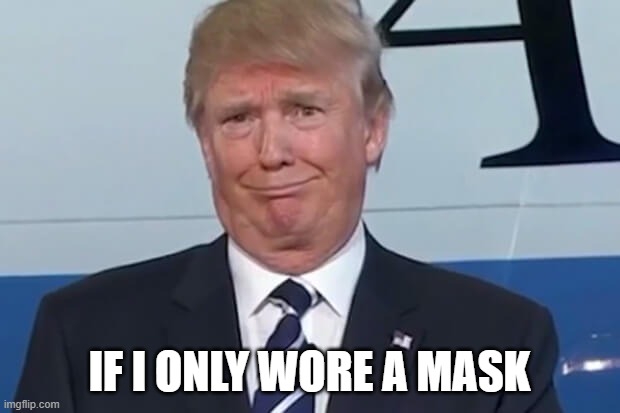If I only wore a mask | IF I ONLY WORE A MASK | image tagged in donald trump | made w/ Imgflip meme maker