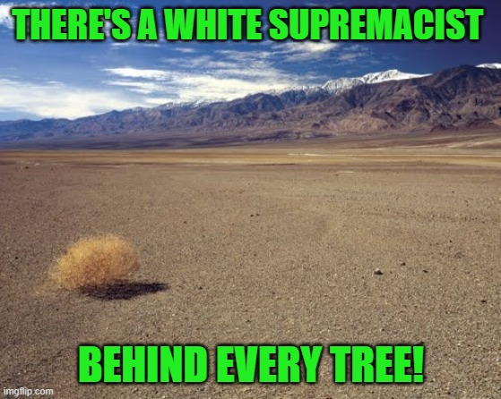 desert tumbleweed | THERE'S A WHITE SUPREMACIST BEHIND EVERY TREE! | image tagged in desert tumbleweed | made w/ Imgflip meme maker