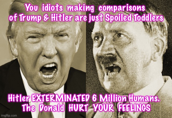 Trump Hitler  | You  idiots  making  comparisons  of Trump & Hitler are just Spoiled Toddlers; Hitler EXTERMINATED 6 Million Humans.  
The  Donald  HURT  YOUR  FEELINGS | image tagged in trump hitler | made w/ Imgflip meme maker