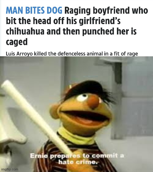 image tagged in ernie prepares to commit a hate crime,memes | made w/ Imgflip meme maker