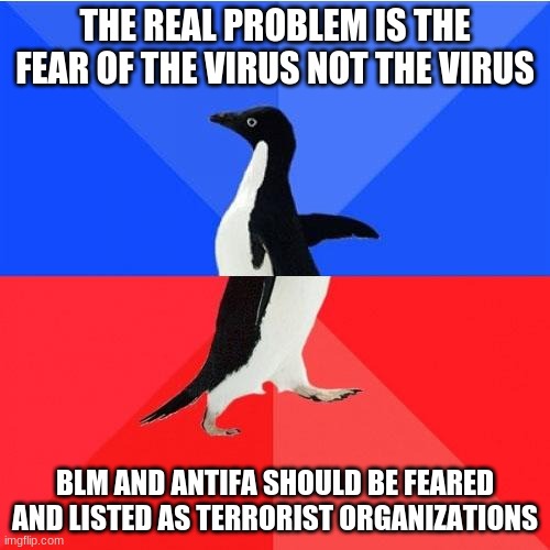 magats be like | THE REAL PROBLEM IS THE FEAR OF THE VIRUS NOT THE VIRUS; BLM AND ANTIFA SHOULD BE FEARED AND LISTED AS TERRORIST ORGANIZATIONS | image tagged in memes,socially awkward awesome penguin | made w/ Imgflip meme maker
