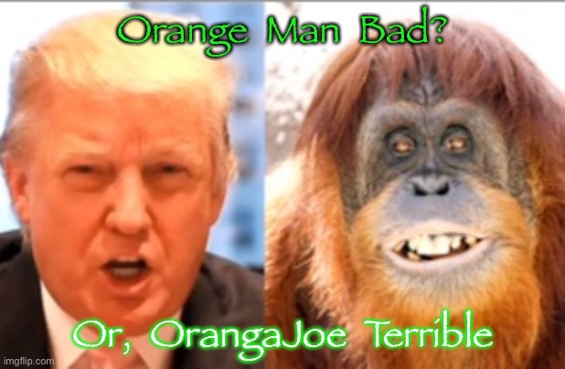 Donald trump is an orangutan | Orange  Man  Bad? Or,  OrangaJoe  Terrible | image tagged in donald trump is an orangutan | made w/ Imgflip meme maker