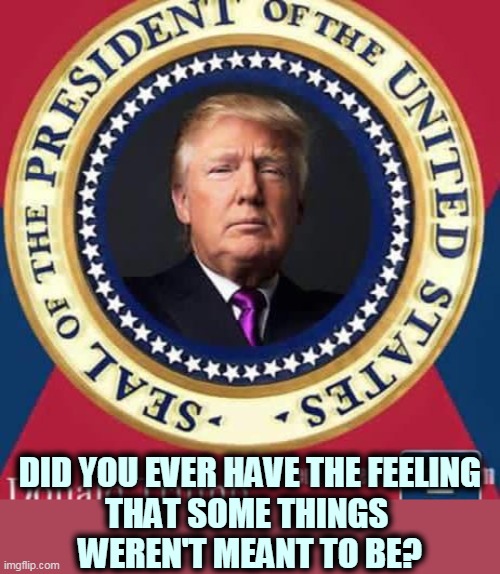 The wrong man in the wrong place at the wrong time. | DID YOU EVER HAVE THE FEELING
THAT SOME THINGS 
WEREN'T MEANT TO BE? | image tagged in president trump seal,wrong,man,job | made w/ Imgflip meme maker