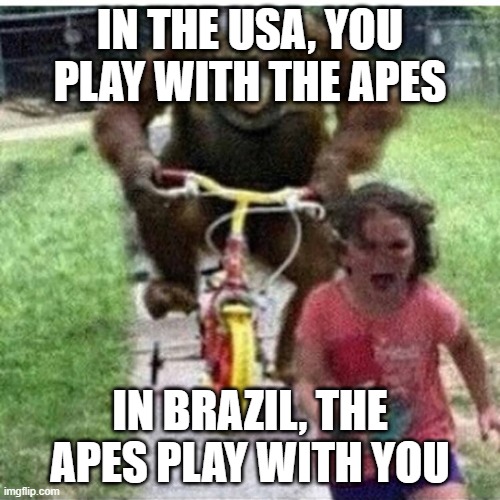 Psychology is ape | IN THE USA, YOU PLAY WITH THE APES; IN BRAZIL, THE APES PLAY WITH YOU | image tagged in ape on bike | made w/ Imgflip meme maker
