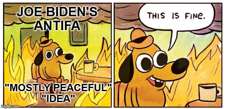 This Is Fine | JOE BIDEN'S
ANTIFA; "MOSTLY PEACEFUL"
"IDEA" | image tagged in memes,this is fine | made w/ Imgflip meme maker