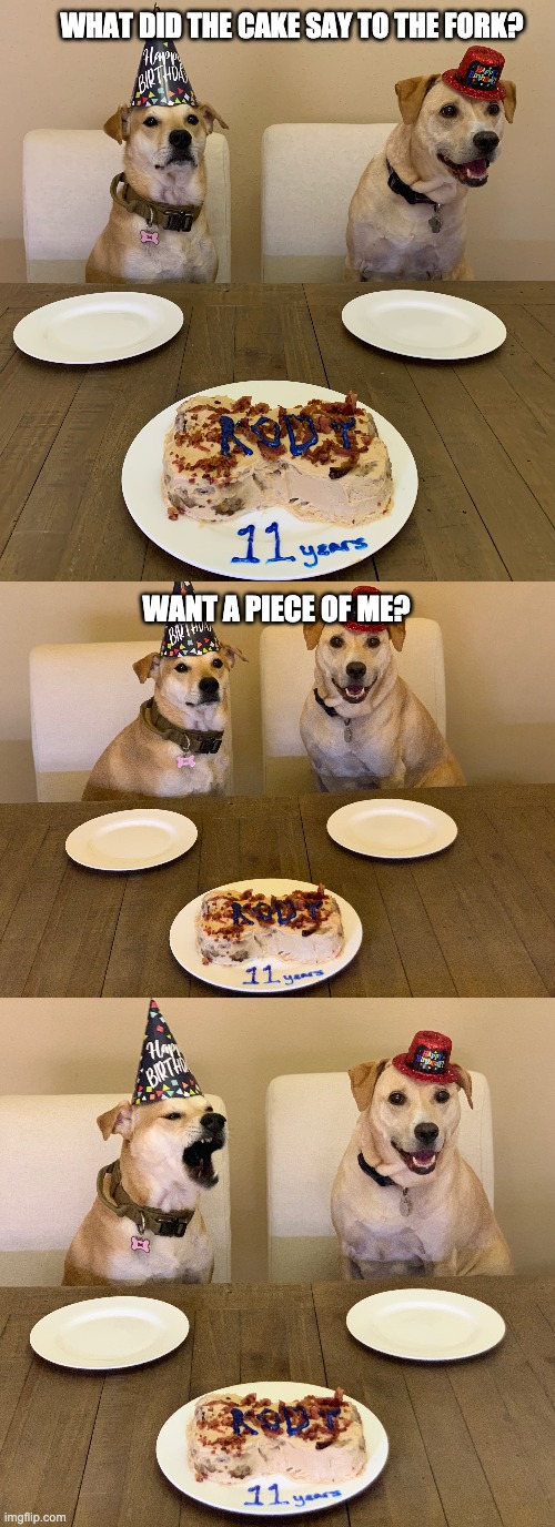Birthday Cake | WHAT DID THE CAKE SAY TO THE FORK? WANT A PIECE OF ME? | image tagged in birthday cake,bad pun dog | made w/ Imgflip meme maker
