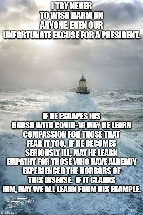 Trump has Covid | I TRY NEVER TO WISH HARM ON ANYONE, EVEN OUR UNFORTUNATE EXCUSE FOR A PRESIDENT. IF HE ESCAPES HIS BRUSH WITH COVID-19 MAY HE LEARN COMPASSION FOR THOSE THAT FEAR IT TOO.  IF HE BECOMES SERIOUSLY ILL, MAY HE LEARN EMPATHY FOR THOSE WHO HAVE ALREADY EXPERIENCED THE HORRORS OF THIS DISEASE.  IF IT CLAIMS HIM, MAY WE ALL LEARN FROM HIS EXAMPLE. | image tagged in trump,covid,covid-19 | made w/ Imgflip meme maker