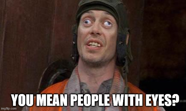 Looks Good To Me | YOU MEAN PEOPLE WITH EYES? | image tagged in looks good to me | made w/ Imgflip meme maker