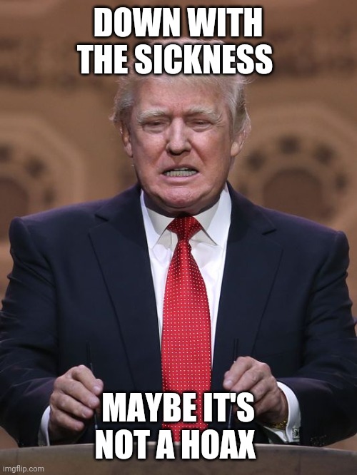 Donald Trump | DOWN WITH THE SICKNESS; MAYBE IT'S NOT A HOAX | image tagged in donald trump | made w/ Imgflip meme maker