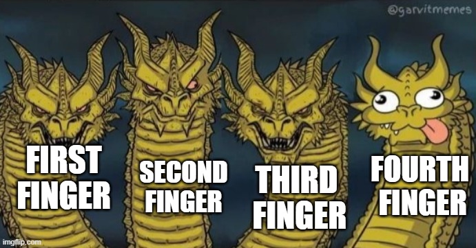 4 headed dragon | FOURTH  FINGER; FIRST FINGER; SECOND FINGER; THIRD  FINGER | image tagged in 4 headed dragon | made w/ Imgflip meme maker