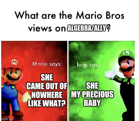 Mario Bros Views | ALGEBRA/ALLY; SHE CAME OUT OF NOWHERE LIKE WHAT? SHE MY PRECIOUS BABY | image tagged in mario bros views | made w/ Imgflip meme maker