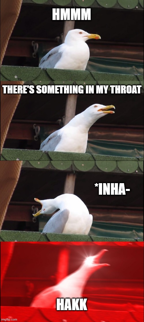 Inhaling Seagull | HMMM; THERE'S SOMETHING IN MY THROAT; *INHA-; HAKK | image tagged in memes,inhaling seagull | made w/ Imgflip meme maker