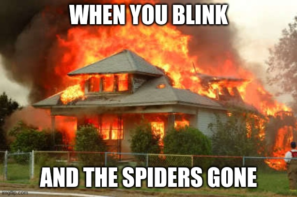 Burnin' House | WHEN YOU BLINK; AND THE SPIDERS GONE | image tagged in burnin' house | made w/ Imgflip meme maker