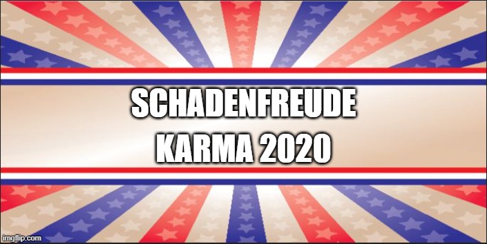 Presidential Campaign Sign | SCHADENFREUDE; KARMA 2020 | image tagged in presidential campaign sign | made w/ Imgflip meme maker