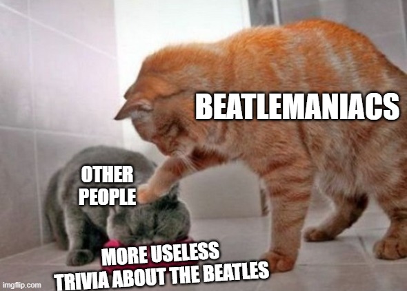 I like the Beatles too, but seriously, just shut up. | BEATLEMANIACS; OTHER PEOPLE; MORE USELESS TRIVIA ABOUT THE BEATLES | image tagged in force feed cat,the beatles,beatlemania,just stop | made w/ Imgflip meme maker
