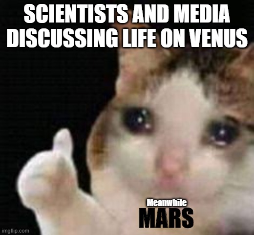 Approved crying cat | SCIENTISTS AND MEDIA DISCUSSING LIFE ON VENUS; Meanwhile; MARS | image tagged in approved crying cat | made w/ Imgflip meme maker
