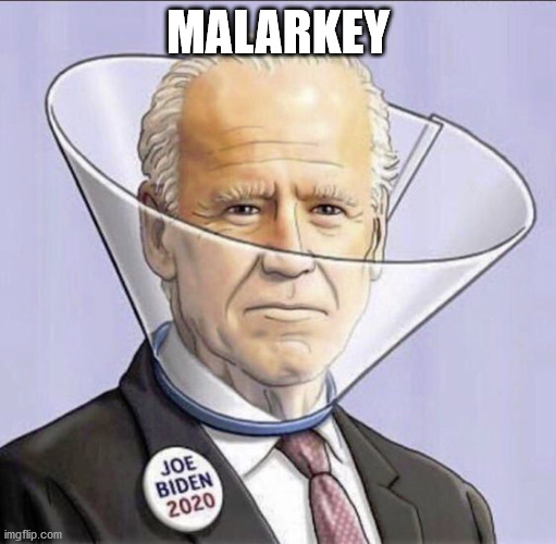 MALARKEY | image tagged in malarkey | made w/ Imgflip meme maker