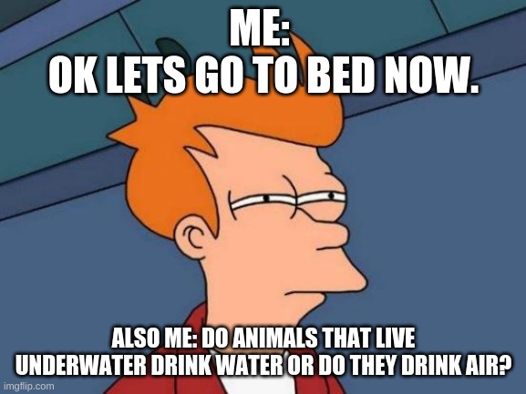 Futurama Fry Meme | ME: 
OK LETS GO TO BED NOW. ALSO ME: DO ANIMALS THAT LIVE UNDERWATER DRINK WATER OR DO THEY DRINK AIR? | image tagged in memes,futurama fry | made w/ Imgflip meme maker