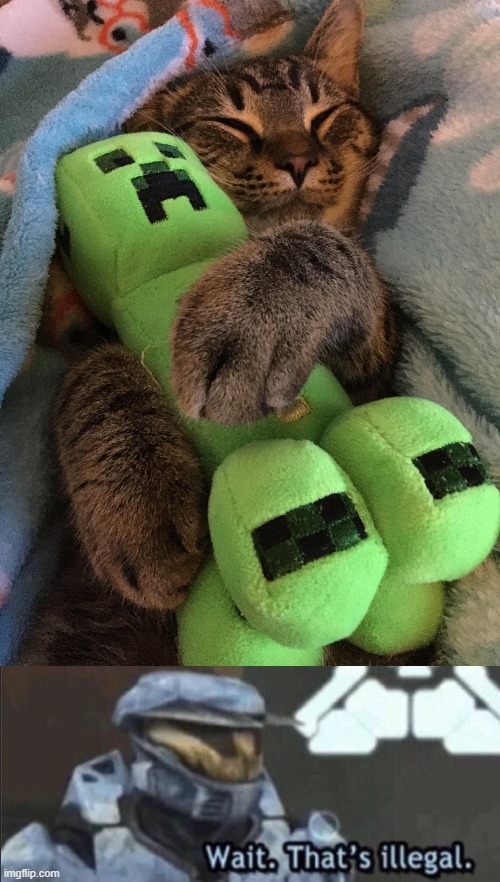 This is actually so cute lol | image tagged in wait that s illegal,cat hugging creeper,cursed,minecraft creeper | made w/ Imgflip meme maker