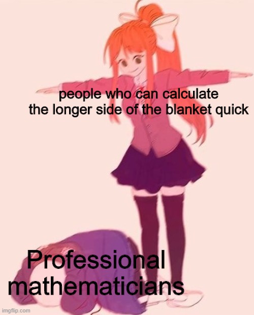 :O | people who can calculate the longer side of the blanket quick; Professional mathematicians | image tagged in tposemonika | made w/ Imgflip meme maker