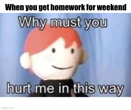 mercy | When you get homework for weekend | image tagged in why must you hurt me in this way | made w/ Imgflip meme maker