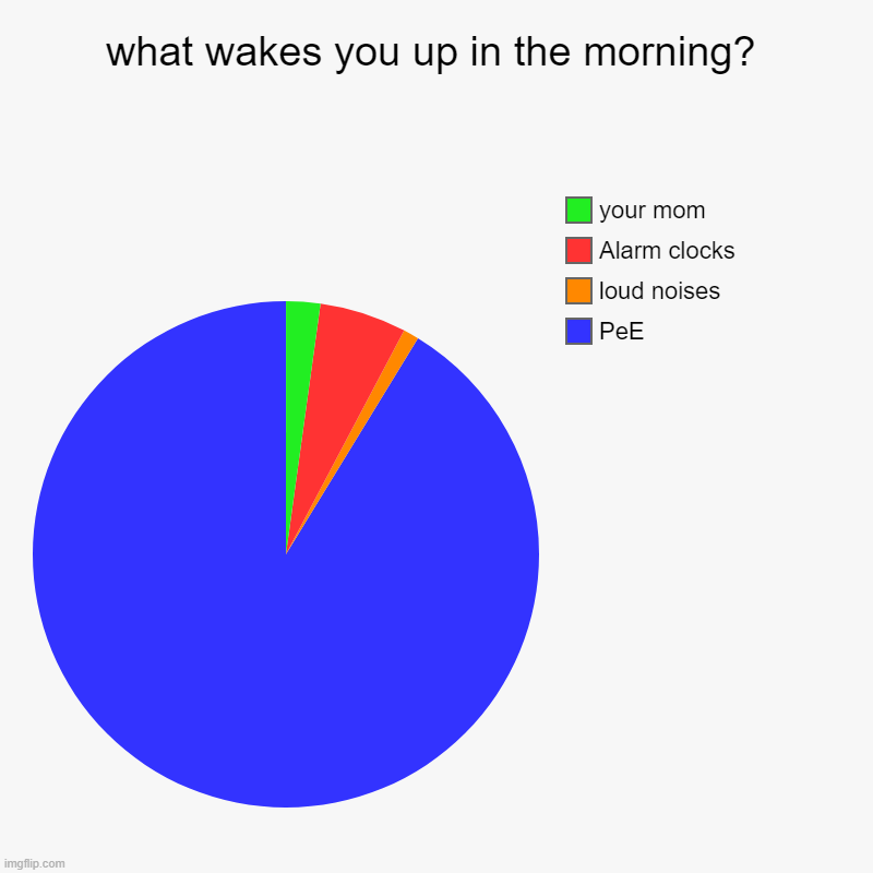 what wakes you up in the morning? | PeE, loud noises, Alarm clocks, your mom | image tagged in charts,pie charts | made w/ Imgflip chart maker