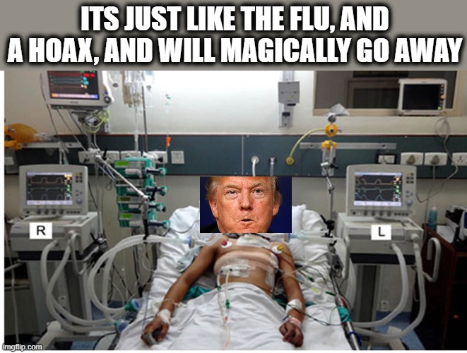 Couldn't happen to a nicer guy | ITS JUST LIKE THE FLU, AND A HOAX, AND WILL MAGICALLY GO AWAY | image tagged in memes,politics,maga,donald trump is an idiot,coronavirus | made w/ Imgflip meme maker