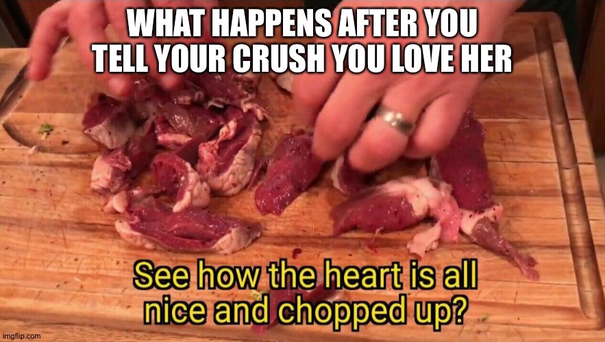 WHAT HAPPENS AFTER YOU TELL YOUR CRUSH YOU LOVE HER | image tagged in see how the heart is all nice and chopped up | made w/ Imgflip meme maker