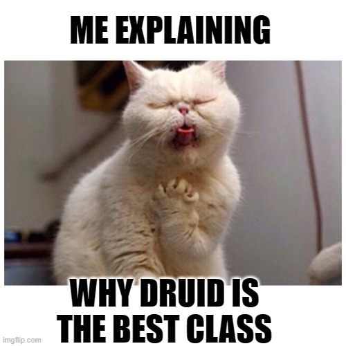 druid cat | ME EXPLAINING; WHY DRUID IS THE BEST CLASS | image tagged in world of warcraft,druid,funny,gaming,online gaming | made w/ Imgflip meme maker