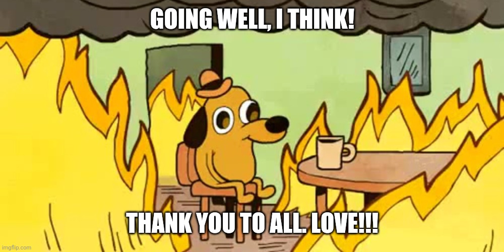 Dog on fire | GOING WELL, I THINK! THANK YOU TO ALL. LOVE!!! | image tagged in dog on fire | made w/ Imgflip meme maker
