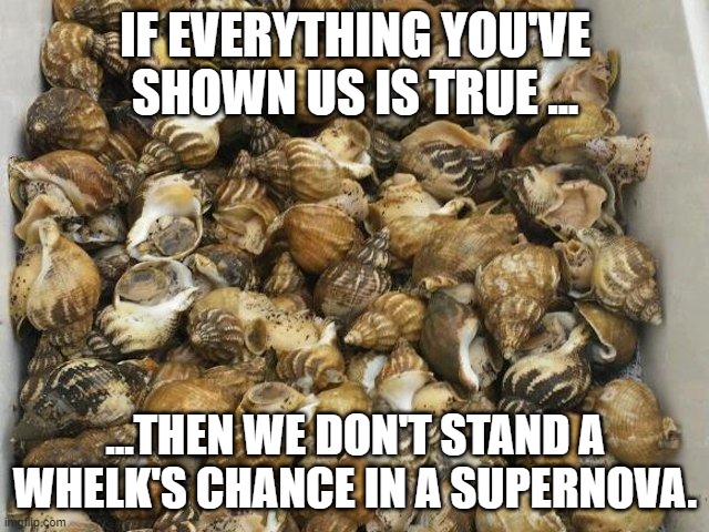 A Whelk's Chance... |  IF EVERYTHING YOU'VE SHOWN US IS TRUE ... ...THEN WE DON'T STAND A WHELK'S CHANCE IN A SUPERNOVA. | image tagged in hitchhiker's guide to the galaxy,h2g2,supernova,no chance,whelk | made w/ Imgflip meme maker