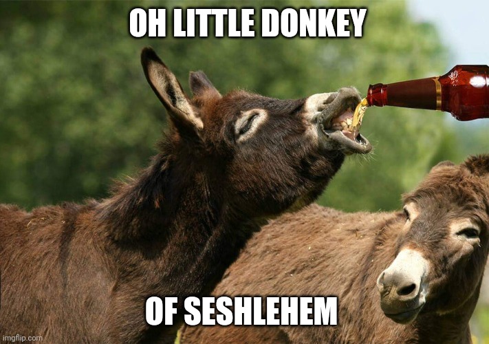 Drunk donkey | OH LITTLE DONKEY; OF SESHLEHEM | image tagged in drunk donkey,memes | made w/ Imgflip meme maker