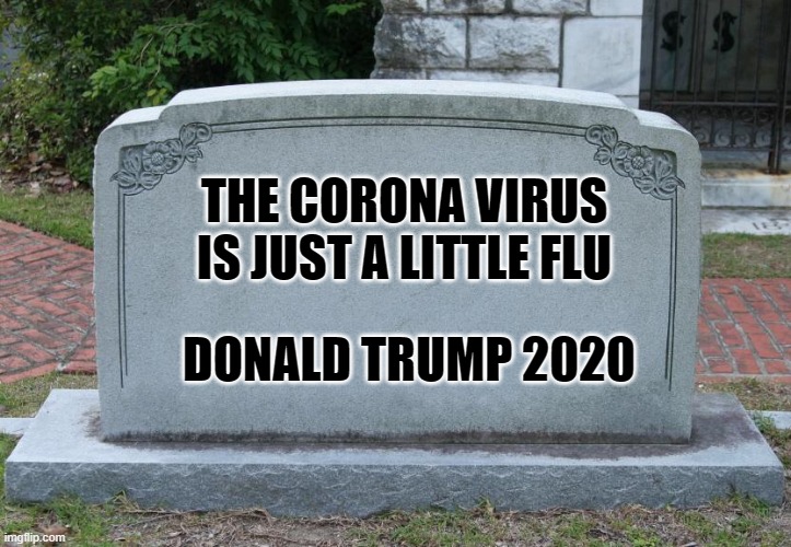 Gravestone | THE CORONA VIRUS IS JUST A LITTLE FLU; DONALD TRUMP 2020 | image tagged in gravestone,donald trump,coronavirus,election 2020,irony,dark humor | made w/ Imgflip meme maker