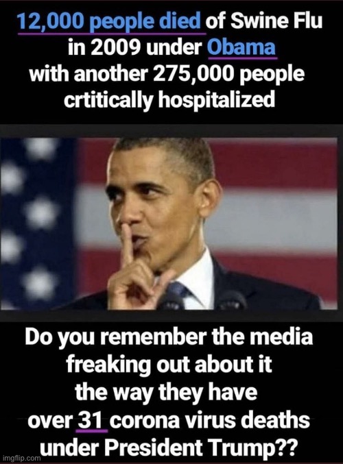 wel yah there r a couple more ded now but nobody knew that it was gonna be that bad except the fakenewsmedia maga | image tagged in h1n1 obama meme,maga,covid-19,covid19,covid,coronavirus | made w/ Imgflip meme maker