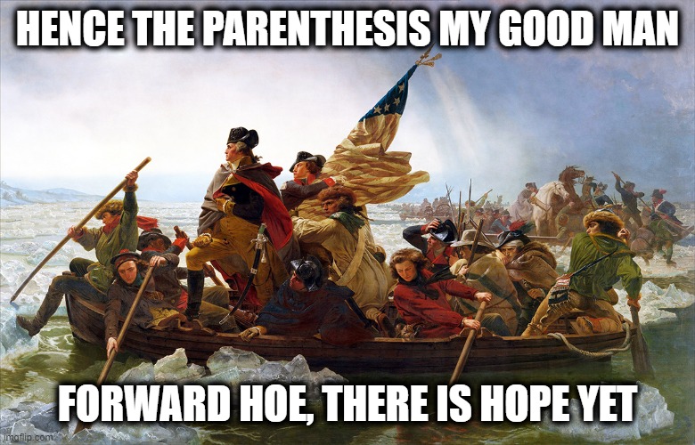 george washington | HENCE THE PARENTHESIS MY GOOD MAN FORWARD HOE, THERE IS HOPE YET | image tagged in george washington | made w/ Imgflip meme maker