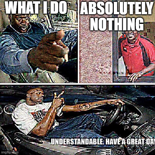WHAT I DO ABSOLUTELY NOTHING | image tagged in understandable have a great day | made w/ Imgflip meme maker