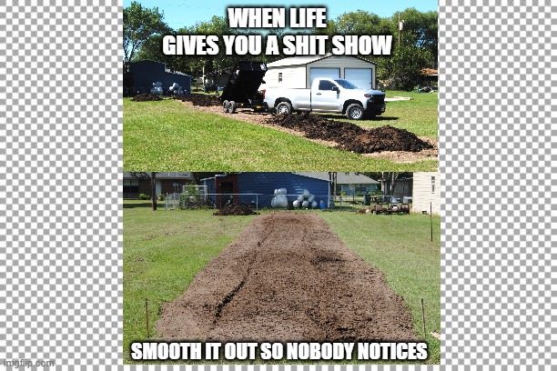 WHEN LIFE GIVES YOU A SHIT SHOW; SMOOTH IT OUT SO NOBODY NOTICES | image tagged in life | made w/ Imgflip meme maker