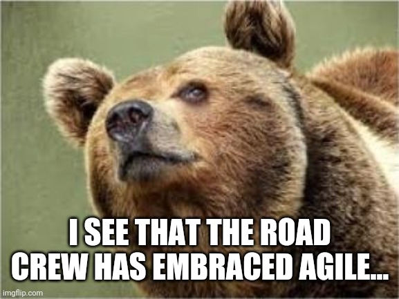Smug Bear Meme | I SEE THAT THE ROAD CREW HAS EMBRACED AGILE... | image tagged in memes,smug bear | made w/ Imgflip meme maker
