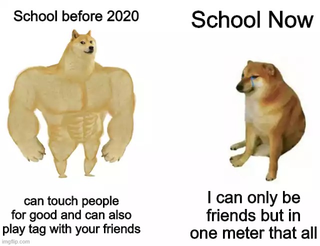 School this 2020 | School Now; School before 2020; can touch people for good and can also play tag with your friends; I can only be friends but in one meter that all | image tagged in buff doge vs cheems | made w/ Imgflip meme maker