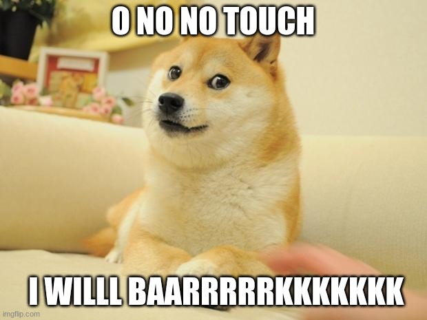 Doge 2 | O NO NO TOUCH; I WILLL BAARRRRRKKKKKKK | image tagged in memes,doge 2 | made w/ Imgflip meme maker