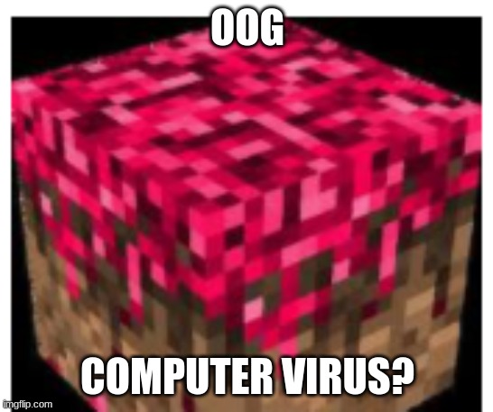 OOG; COMPUTER VIRUS? | image tagged in corrupted grass block | made w/ Imgflip meme maker