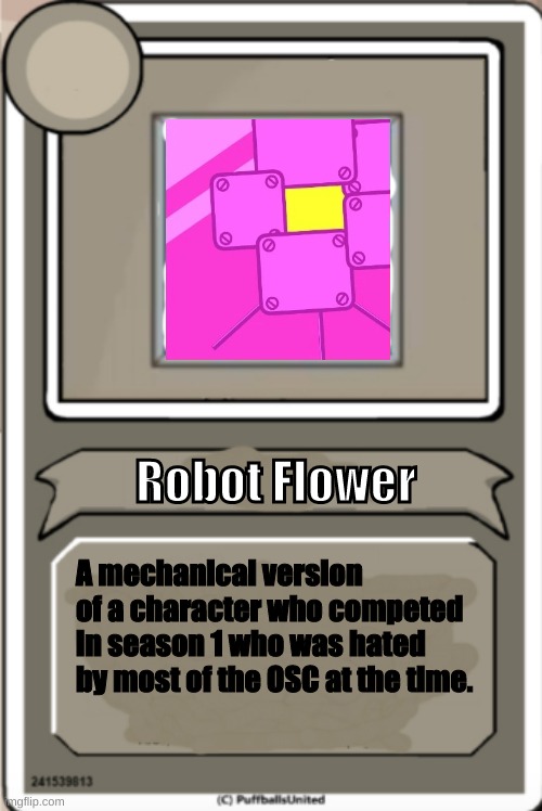 BFB Character Bios #2 | Robot Flower; A mechanical version of a character who competed in season 1 who was hated by most of the OSC at the time. | image tagged in character bio | made w/ Imgflip meme maker
