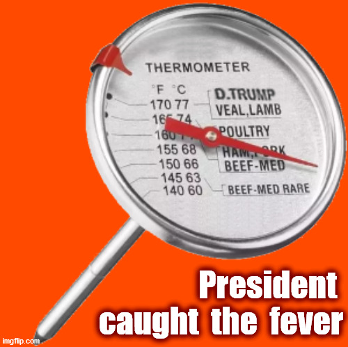 Trump-19 | President  caught  the  fever | image tagged in fever,corona,covid-19,covid19,covid,president | made w/ Imgflip meme maker