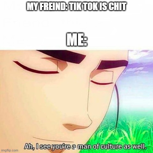 Ah,I see you are a man of culture as well | MY FREIND: TIK TOK IS CHIT; ME: | image tagged in ah i see you are a man of culture as well | made w/ Imgflip meme maker
