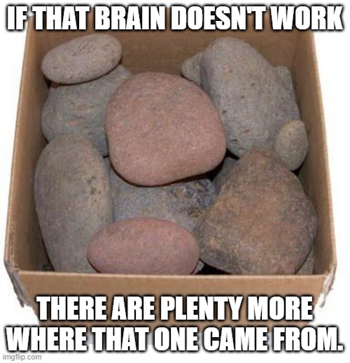Box of Rocks | IF THAT BRAIN DOESN'T WORK THERE ARE PLENTY MORE WHERE THAT ONE CAME FROM. | image tagged in box of rocks | made w/ Imgflip meme maker