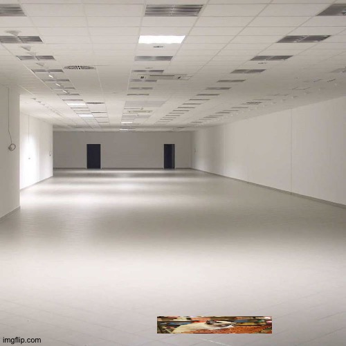 empty room | image tagged in empty room | made w/ Imgflip meme maker
