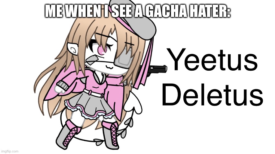 Yeetus deletus | ME WHEN I SEE A GACHA HATER: | image tagged in yeetus deletus | made w/ Imgflip meme maker