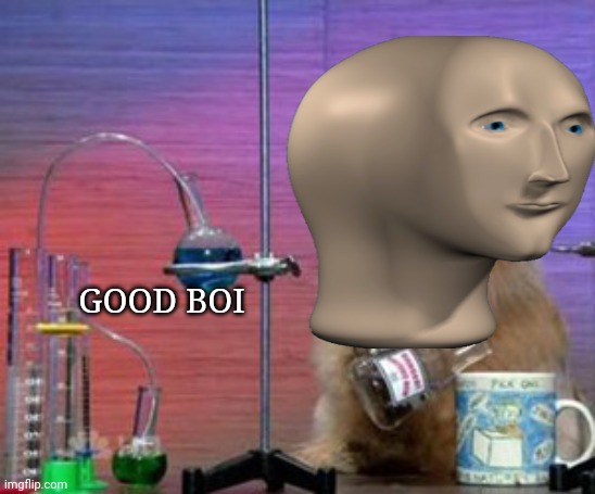 GOOD BOI | image tagged in meme,meme man,dogs | made w/ Imgflip meme maker
