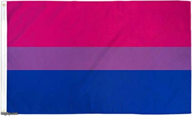 Bisexual Flag | image tagged in bisexual flag | made w/ Imgflip meme maker